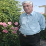 تصویر کاربر با کد 1593