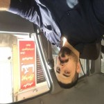 تصویر کاربر با کد 6222