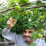 تصویر کاربر با کد 5007