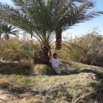 تصویر کاربر با کد 28160