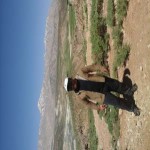 تصویر کاربر با کد 20223