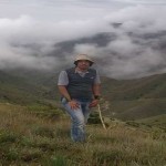 تصویر کاربر با کد 31434