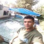 تصویر کاربر با کد 46468