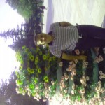 تصویر کاربر با کد 42097