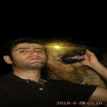 تصویر کاربر با کد 115561