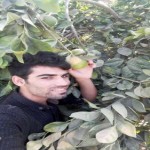تصویر کاربر با کد 119051