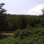 تصویر کاربر با کد 118912