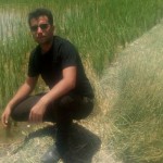 تصویر کاربر با کد 168422
