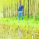 تصویر کاربر با کد 198084