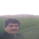 تصویر کاربر با کد 191013