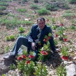 تصویر کاربر با کد 207704
