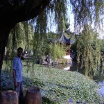تصویر کاربر با کد 213389