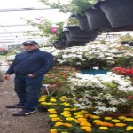 تصویر کاربر با کد 220498