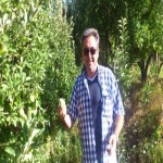 تصویر کاربر با کد 228047