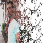 تصویر کاربر با کد 228525