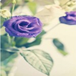 تصویر کاربر با کد 228579