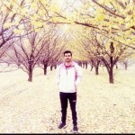 تصویر کاربر با کد 247624