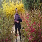 تصویر کاربر با کد 258769