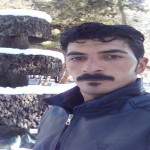 تصویر کاربر با کد 288358