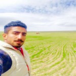 تصویر کاربر با کد 309300
