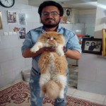 تصویر کاربر با کد 309158