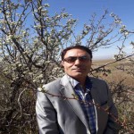 تصویر کاربر با کد 339510