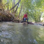 تصویر کاربر با کد 371140