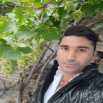 تصویر کاربر با کد 387051