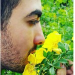 تصویر کاربر با کد 246670