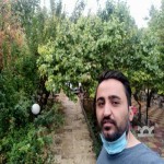 تصویر کاربر با کد 392662