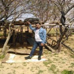 تصویر کاربر با کد 394441