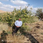 تصویر کاربر با کد 403463