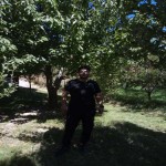 تصویر کاربر با کد 423993