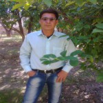 تصویر کاربر با کد 390425