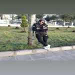 تصویر کاربر با کد 445224