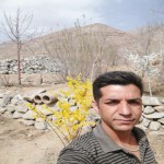 تصویر کاربر با کد 461913
