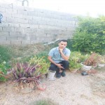 تصویر کاربر با کد 401531