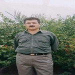 تصویر کاربر با کد 397943