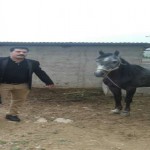 تصویر کاربر با کد 480935