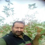 تصویر کاربر با کد 411273