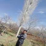 تصویر کاربر با کد 171193