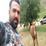 تصویر کاربر با کد 181718