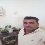 تصویر کاربر با کد 504358