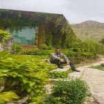 تصویر کاربر با کد 463473