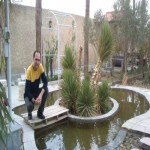 تصویر کاربر با کد 494452