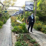 تصویر کاربر با کد 523224