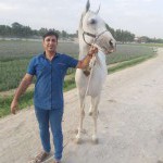 تصویر کاربر با کد 523519