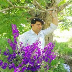 تصویر کاربر با کد 525389