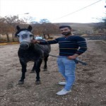تصویر کاربر با کد 524045