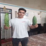 تصویر کاربر با کد 531876